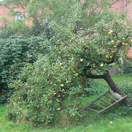 SehlenAlte Baeckerei Gnade Auf Ruegen公寓 外观 照片